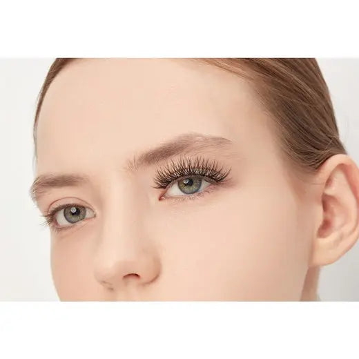 Morphe Premium Lashes Maliha Beauty